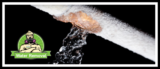 water damage restoration