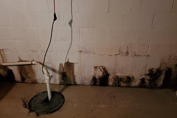 Before Mold Remediation