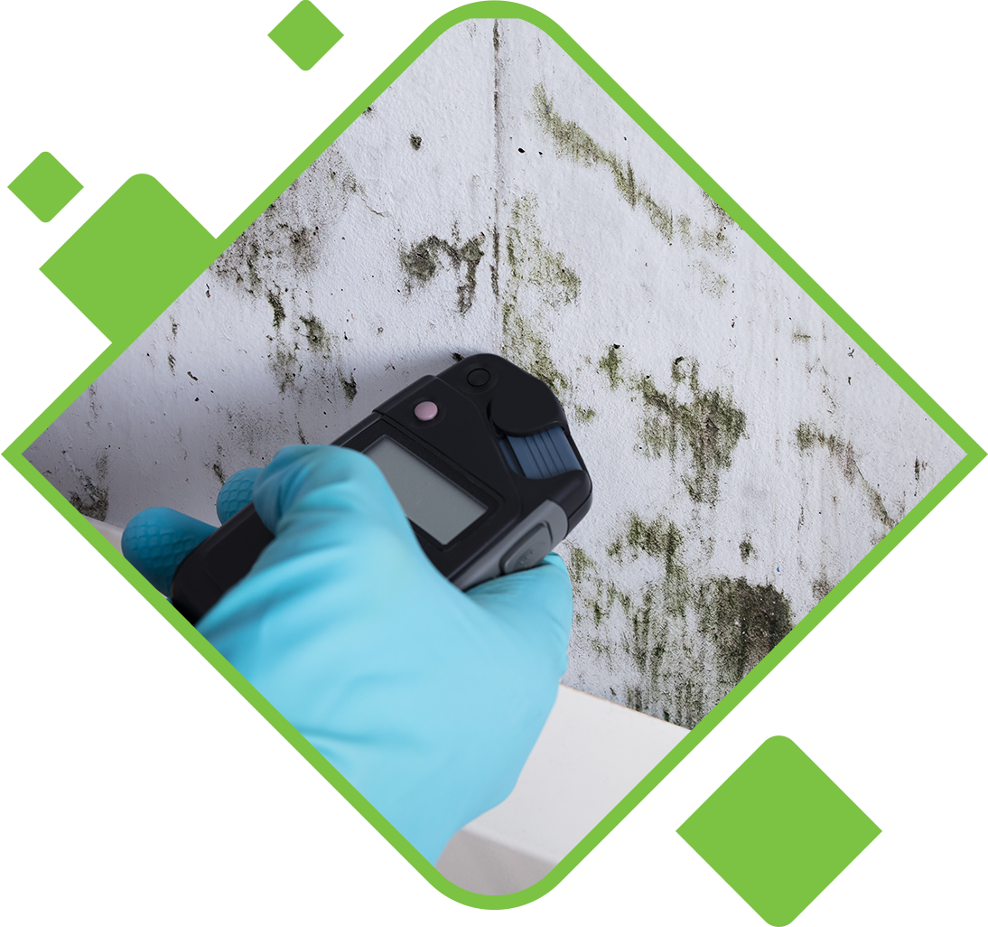 Mold on wall with person wearing gloves measuring moisture